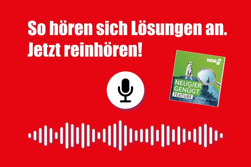 WDR 5 / ARD - Bericht über Stambulant