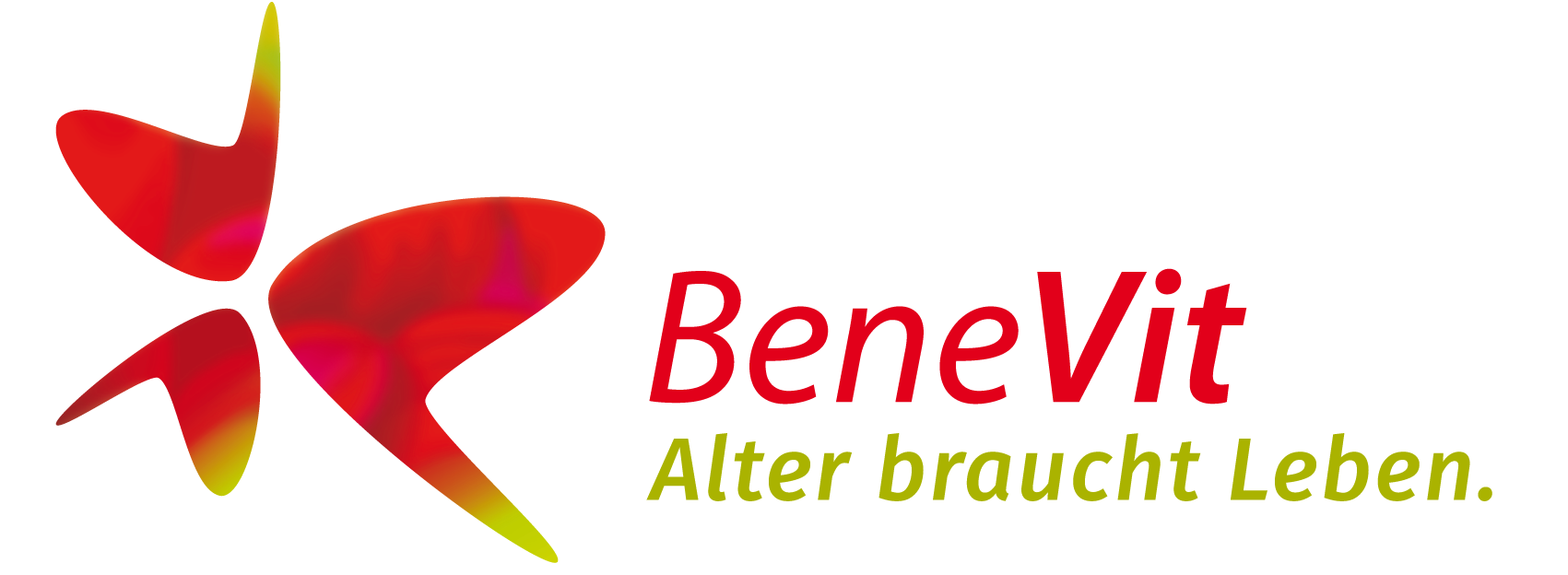 BeneVit Holding